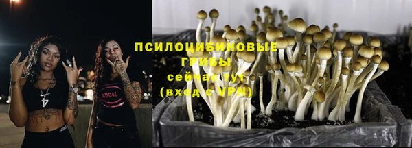 синтетический гашиш Белокуриха
