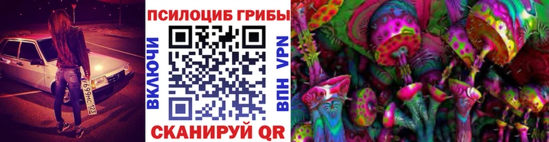 где купить наркоту  Гай  Галлюциногенные грибы Cubensis 